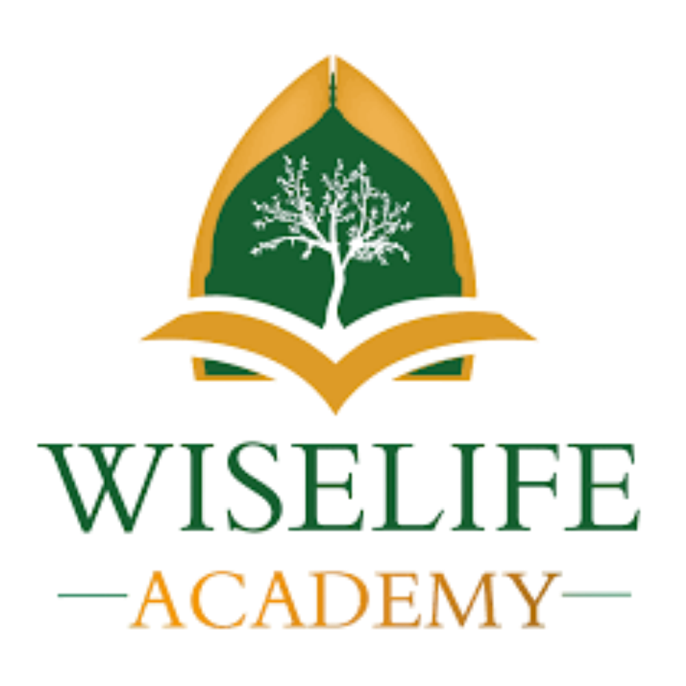 WiseLife Academy